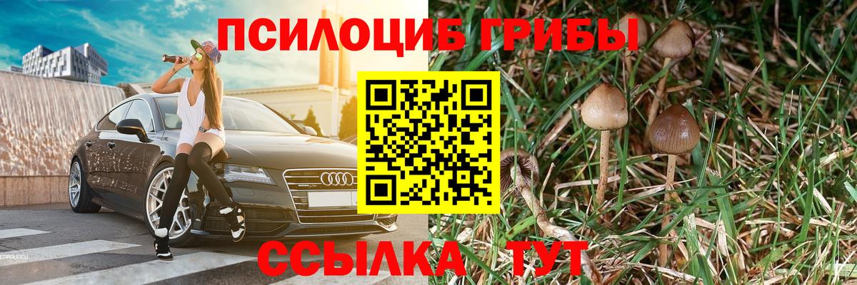 Псилоцибиновые грибы мухоморы Грязи