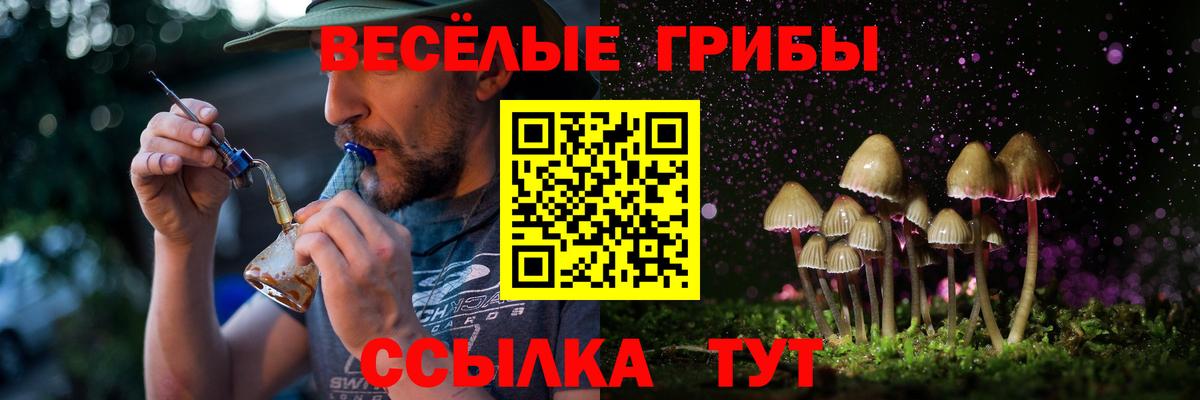 Галлюциногенные грибы прущие грибы  Вход с VPN  Грязи 